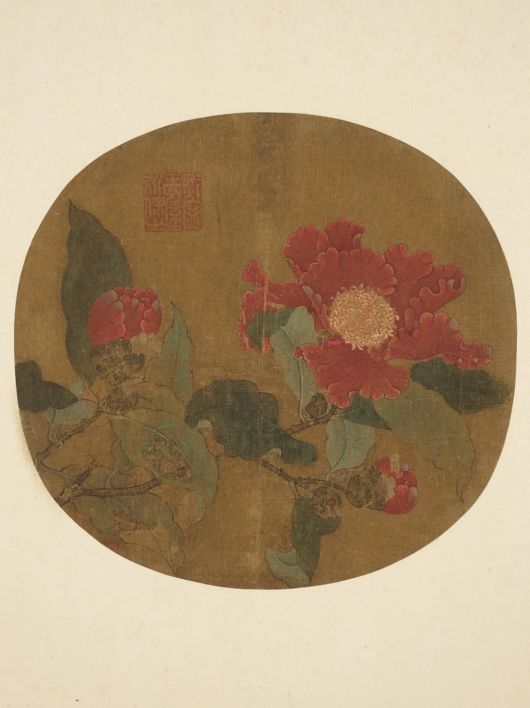 传黄筌花卉《山茶图》