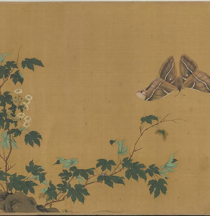 传滕昌祐花卉画《蝶戏长春图》卷_09