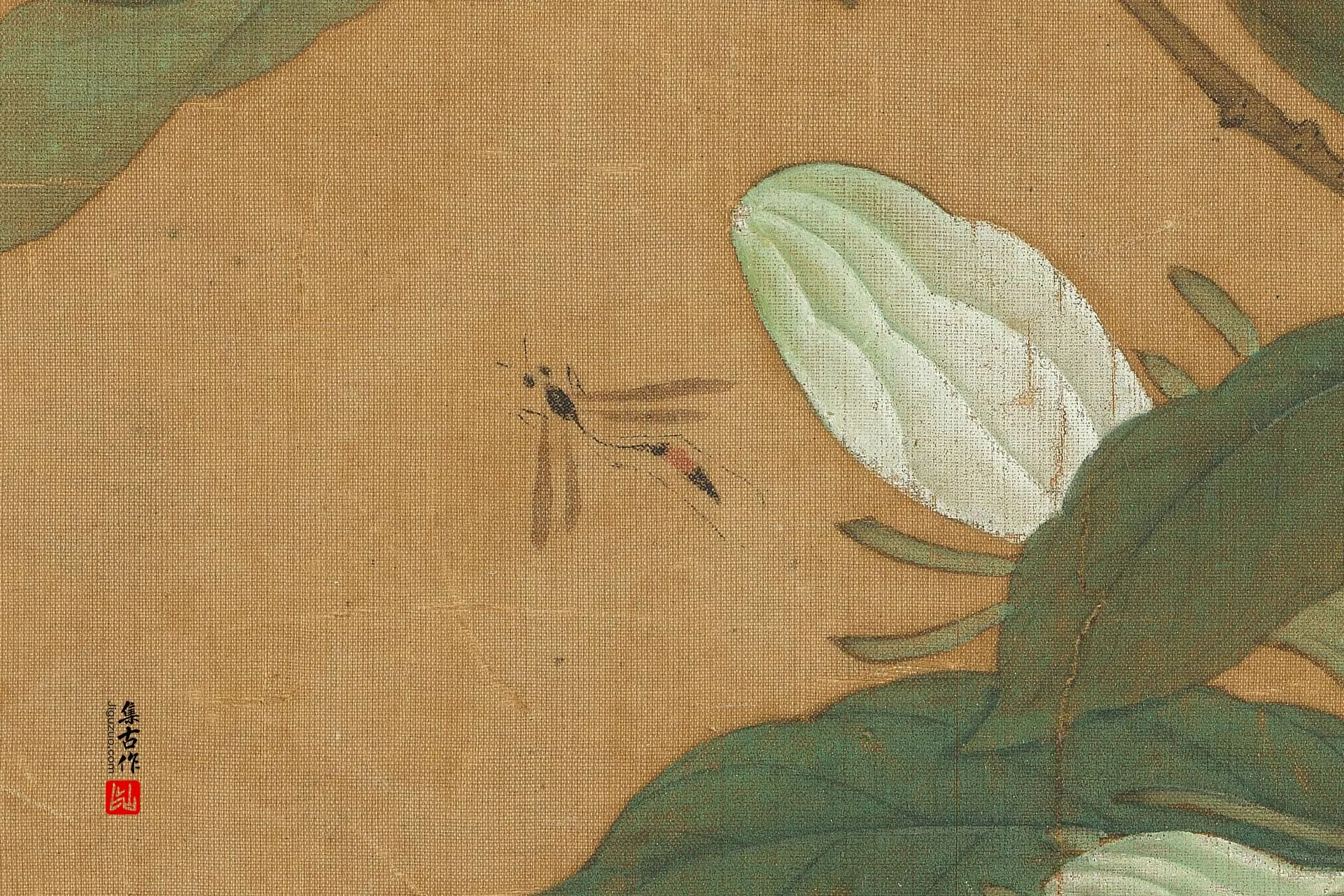 传徐熙花鸟画《写生栀子图》超高清大图局部 (1)