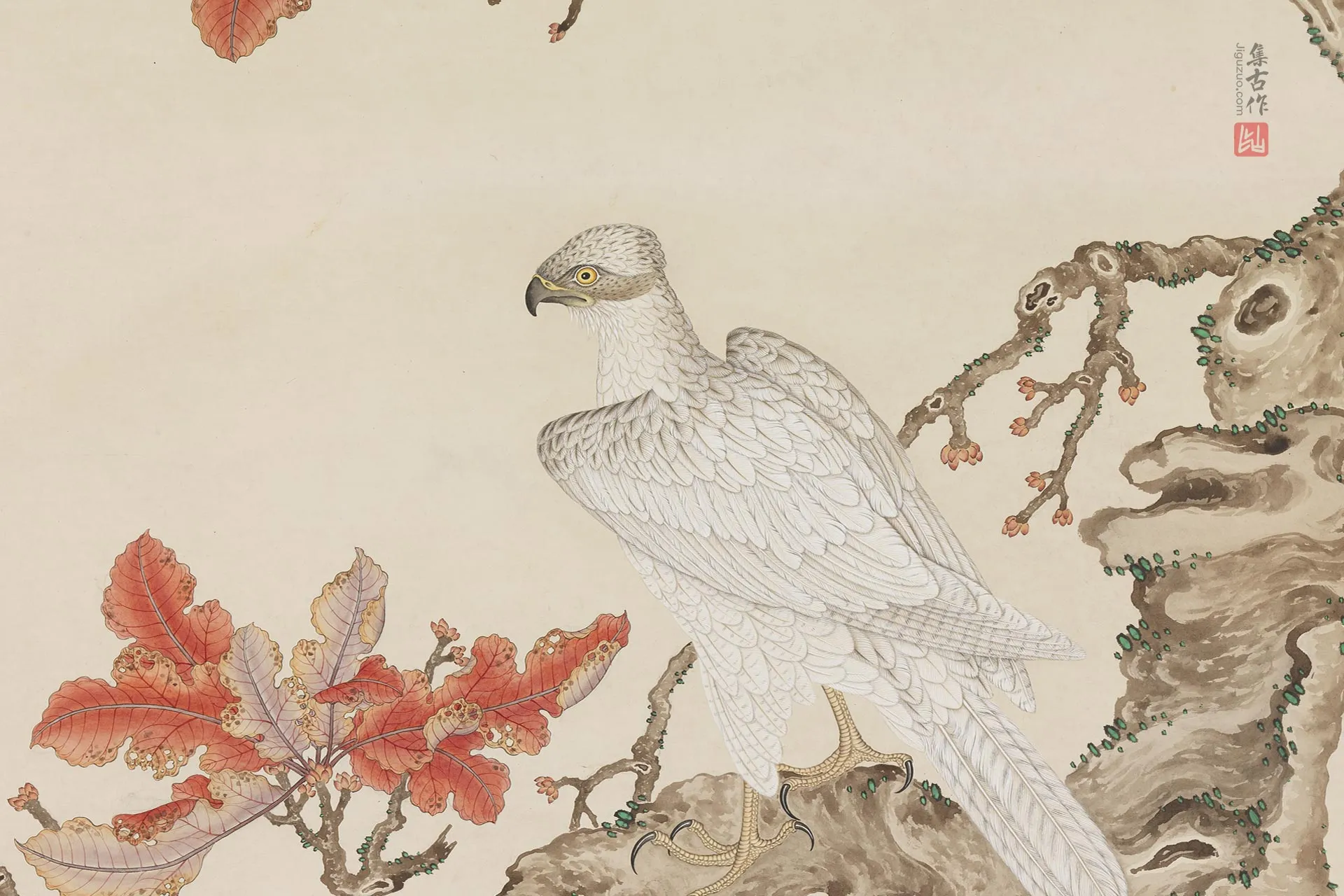 杨大章花鸟画《白鹰图》局部 (1)