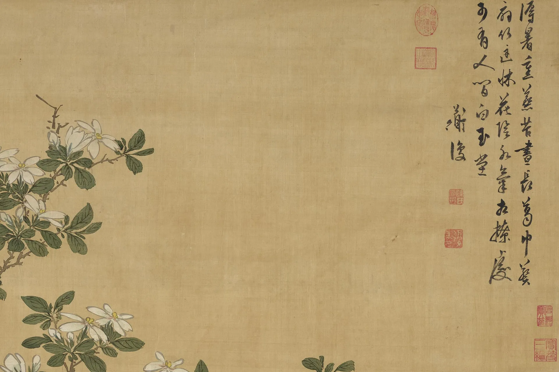 陈淳设色花卉轴局部 (1)
