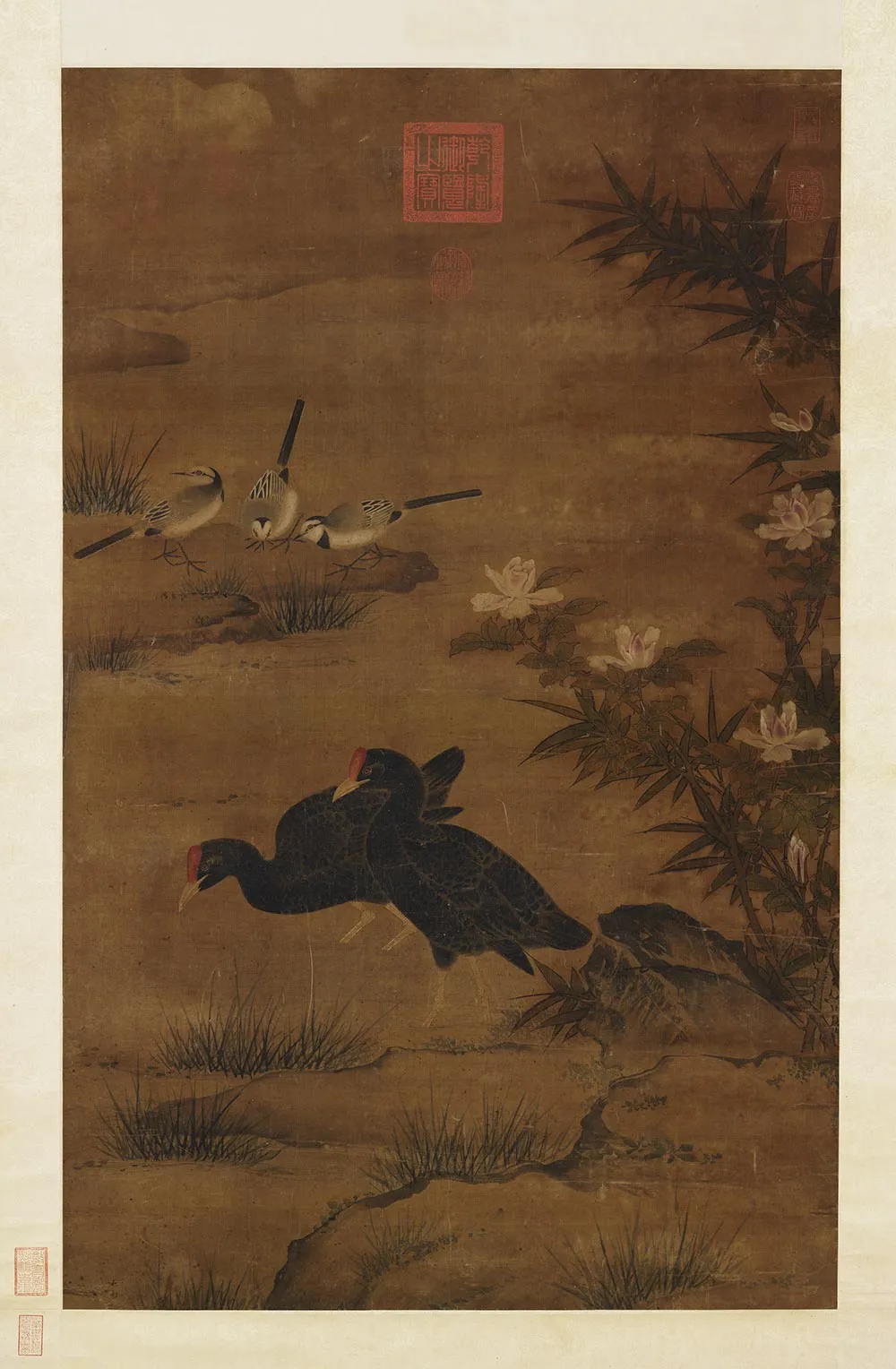 传黄筌《长春竹雀图》轴