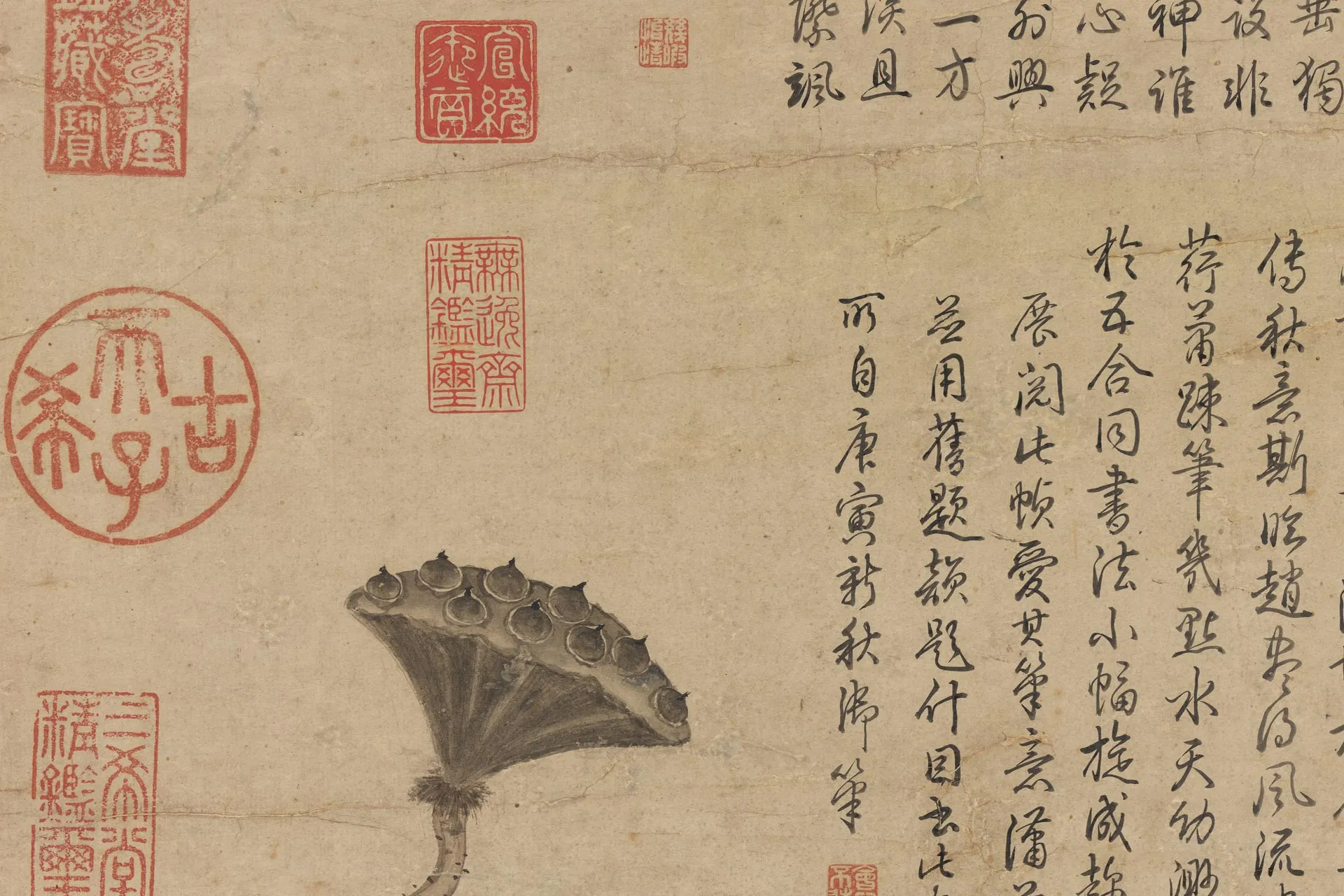 赵孟頫水墨花鸟《临黄筌莲塘图》局部 (2)