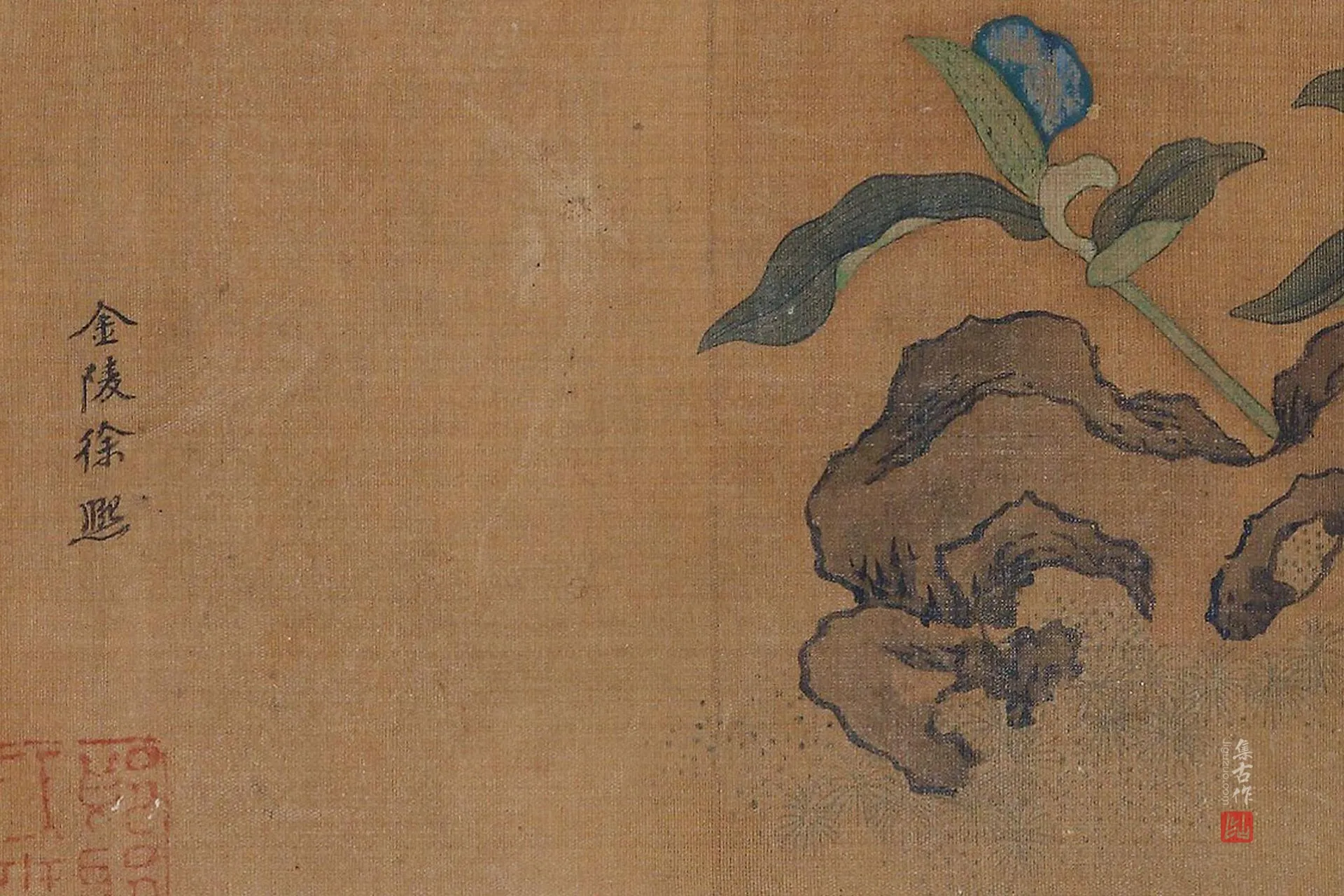 传徐熙《花果贝壳草虫图》高清大图局部 (1)