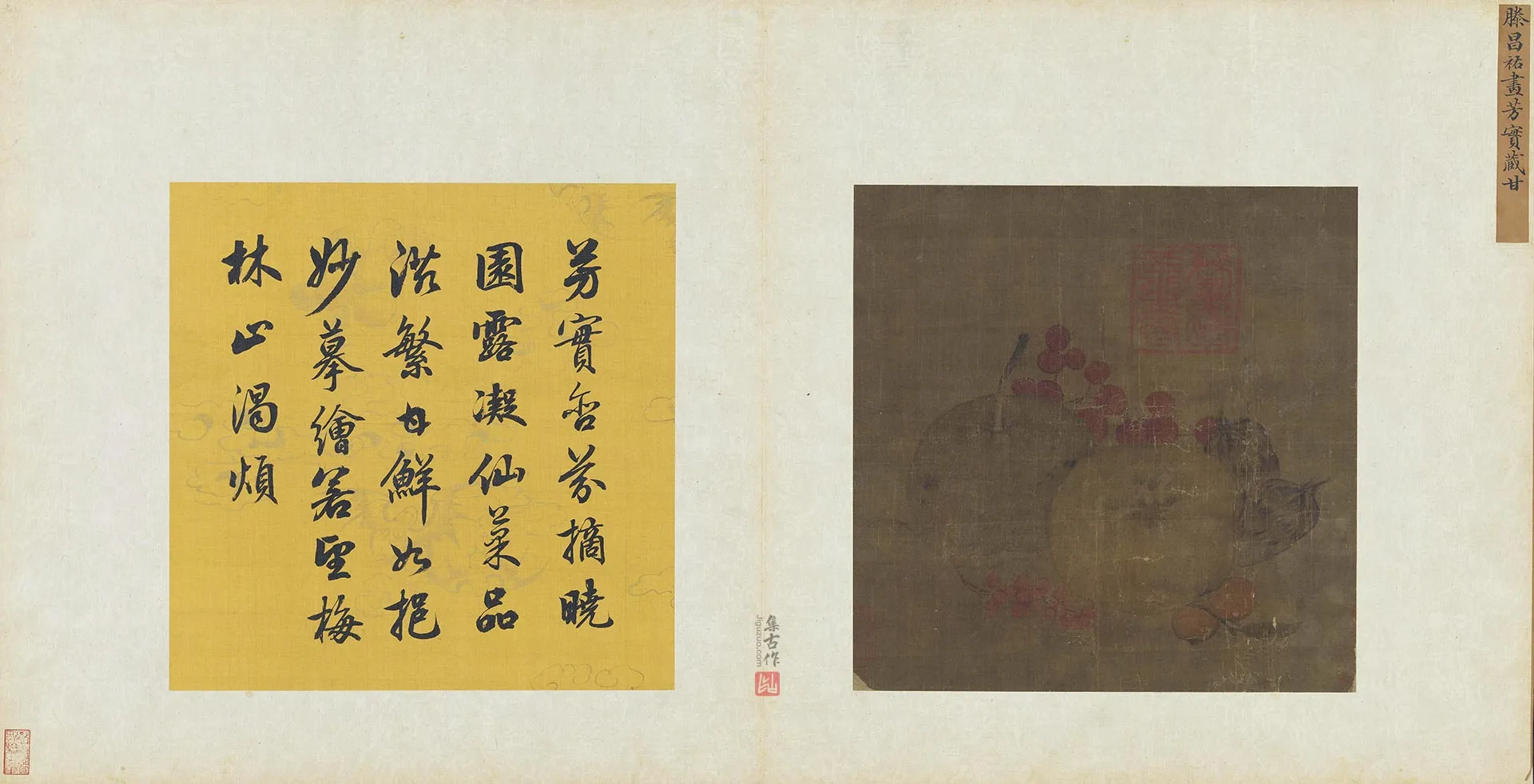 传滕昌祐《芳实藏甘图》页