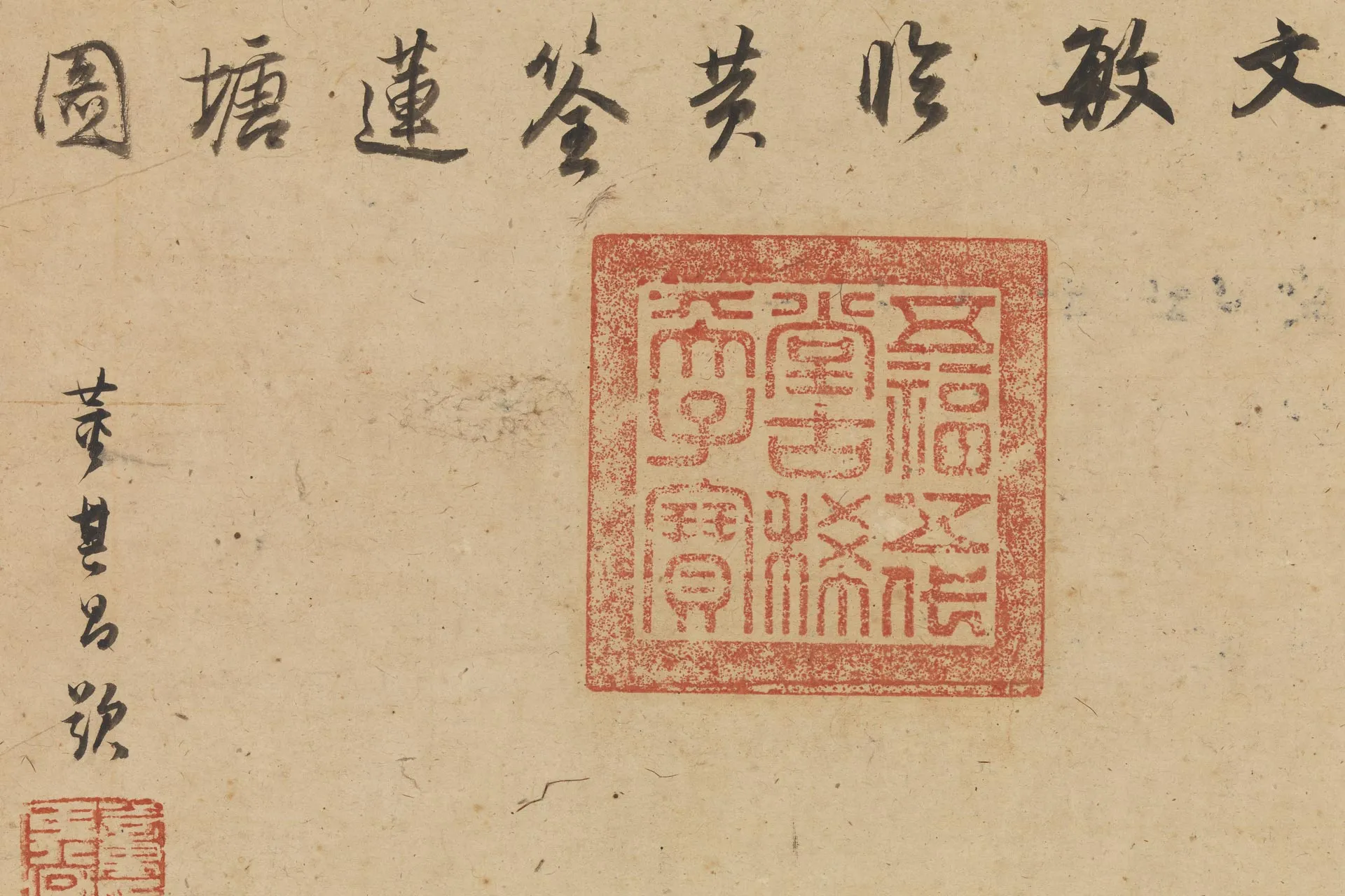 赵孟頫水墨花鸟《临黄筌莲塘图》局部 (3)