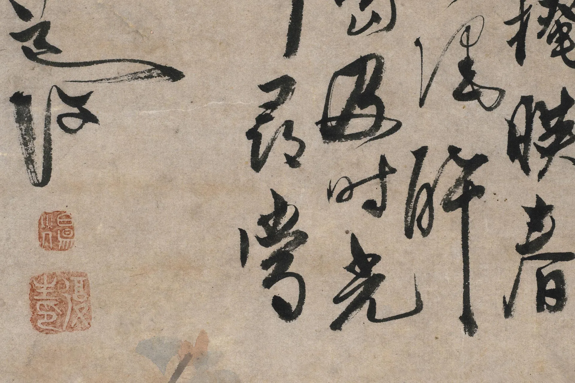 陈淳书画合璧《牡丹图》局部 (2)