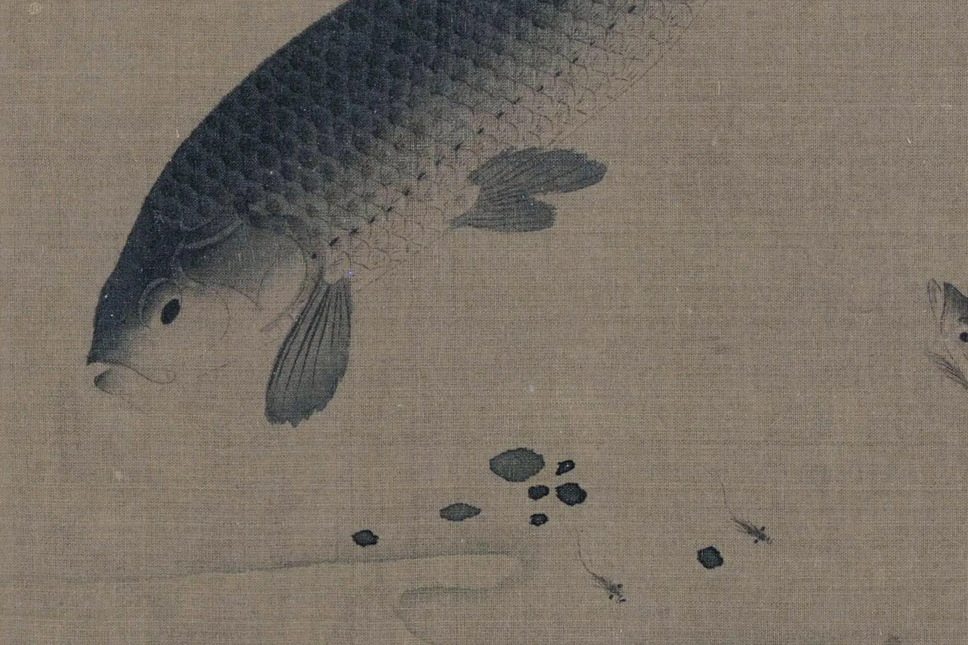 陈可久《春溪水族图》高清局部 (1)