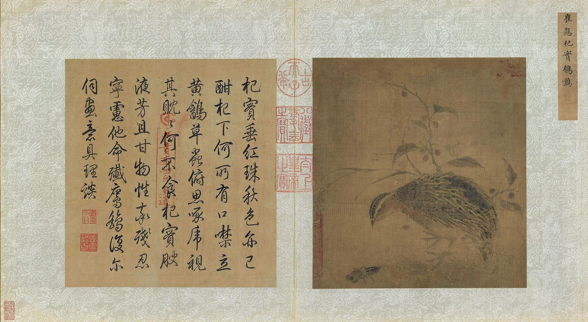 崔慤《杞实鹌鹑图》页