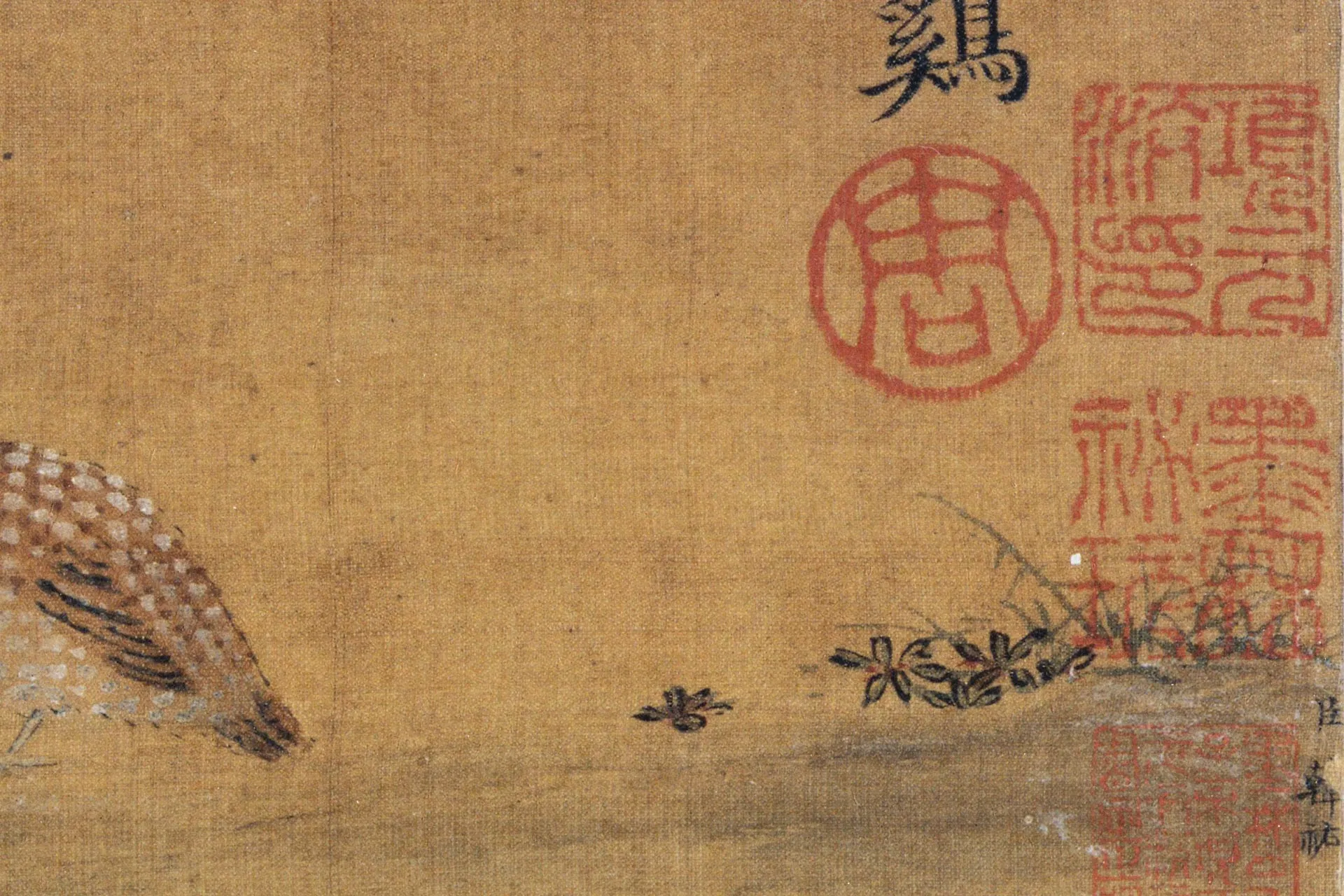 韩祐《琼花真珠鸡图》高清局部-2