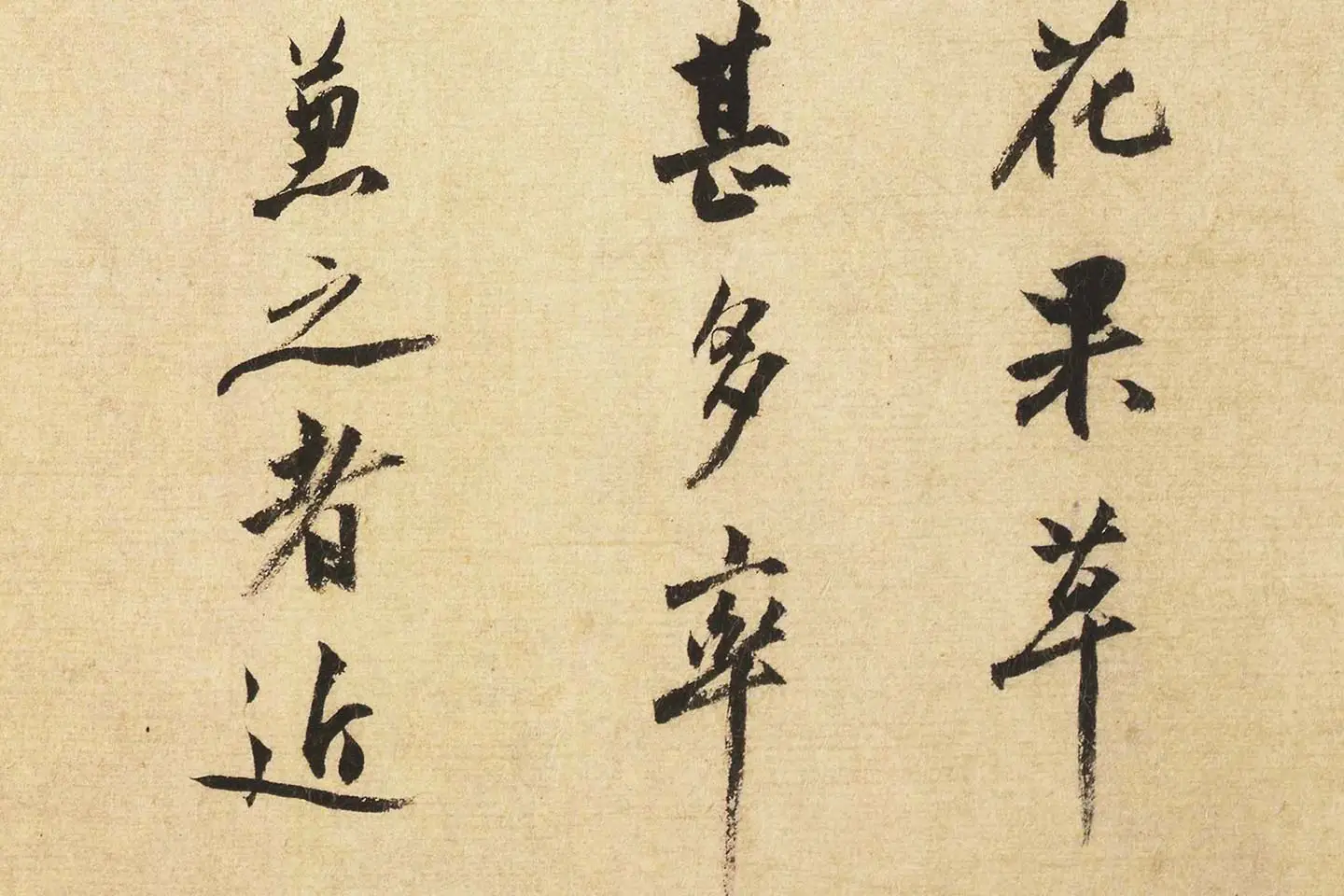 沈周行书书法《题跋法常水墨写生图》局部 (3)