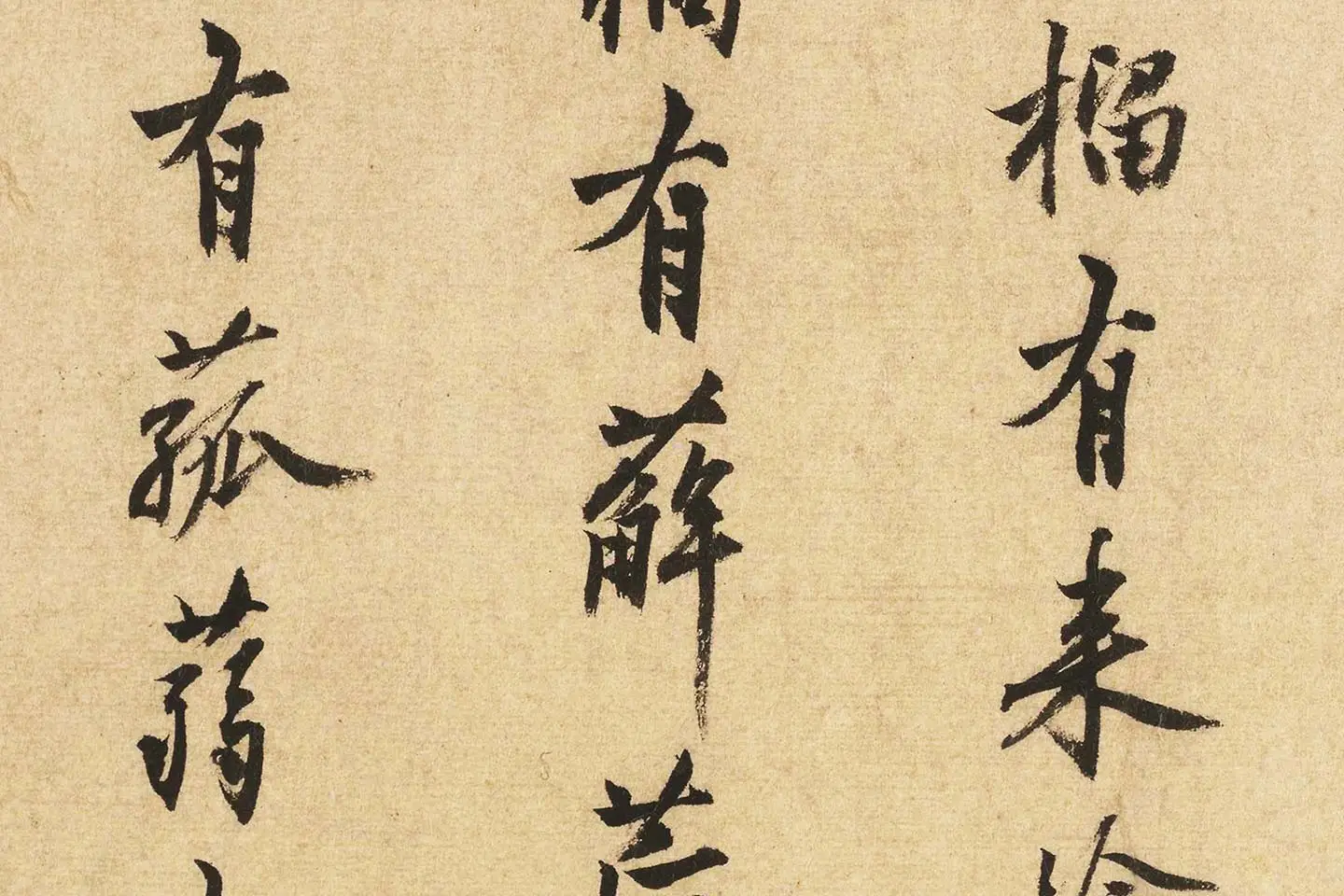 沈周行书书法《题跋法常水墨写生图》局部 (5)