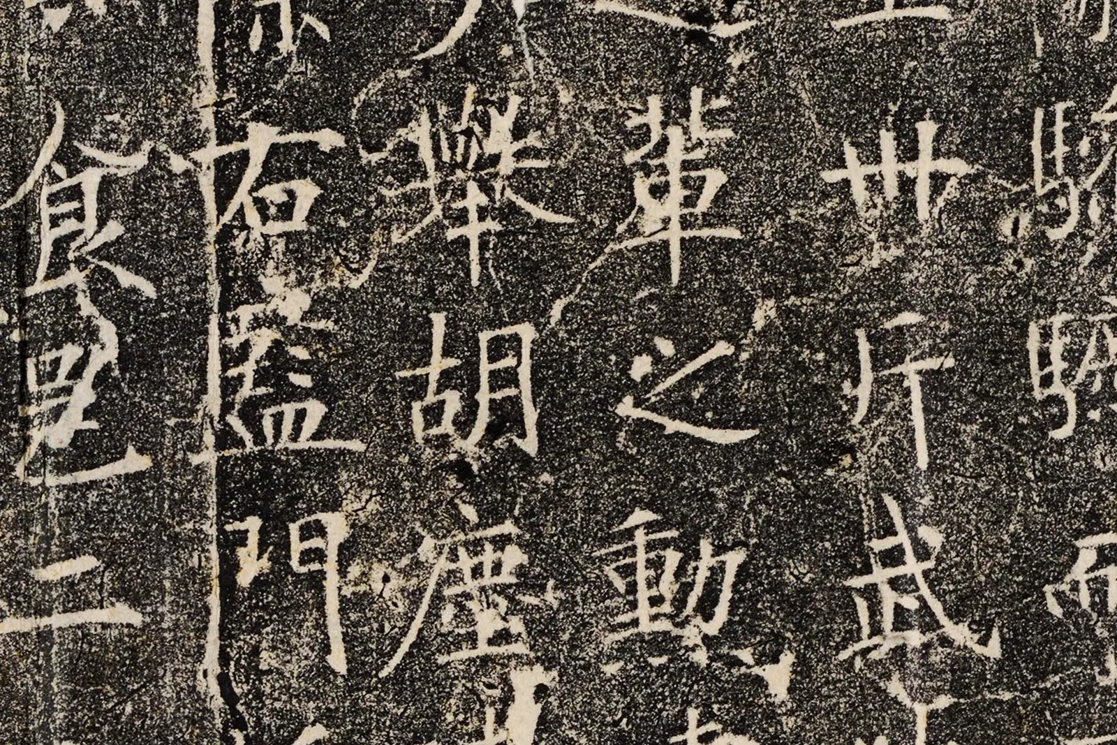 褚遂良《樊兴碑》全碑墨拓高清大图局部 (6)