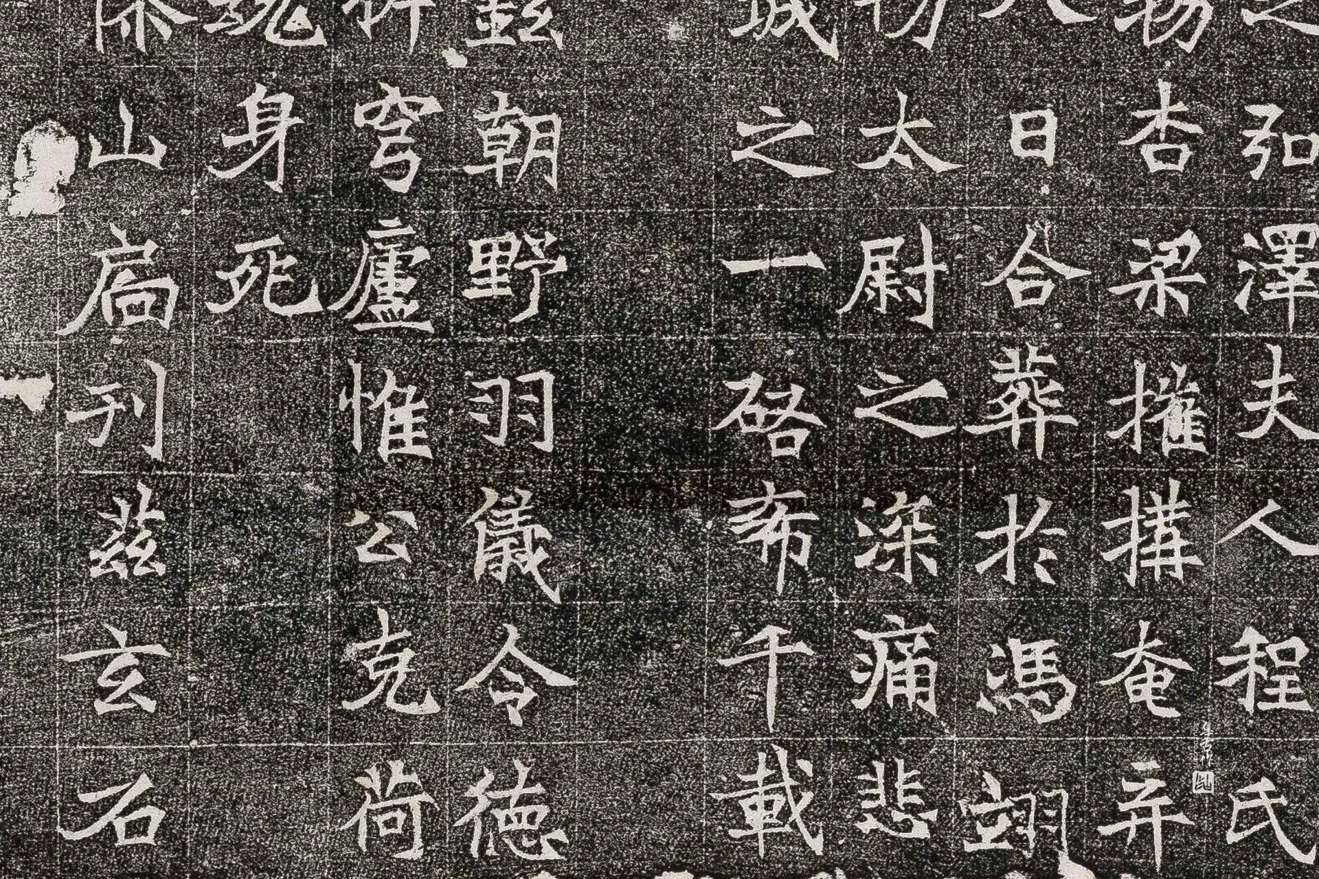 唐代《杨智积墓志》墨拓高清大图局部 (6)