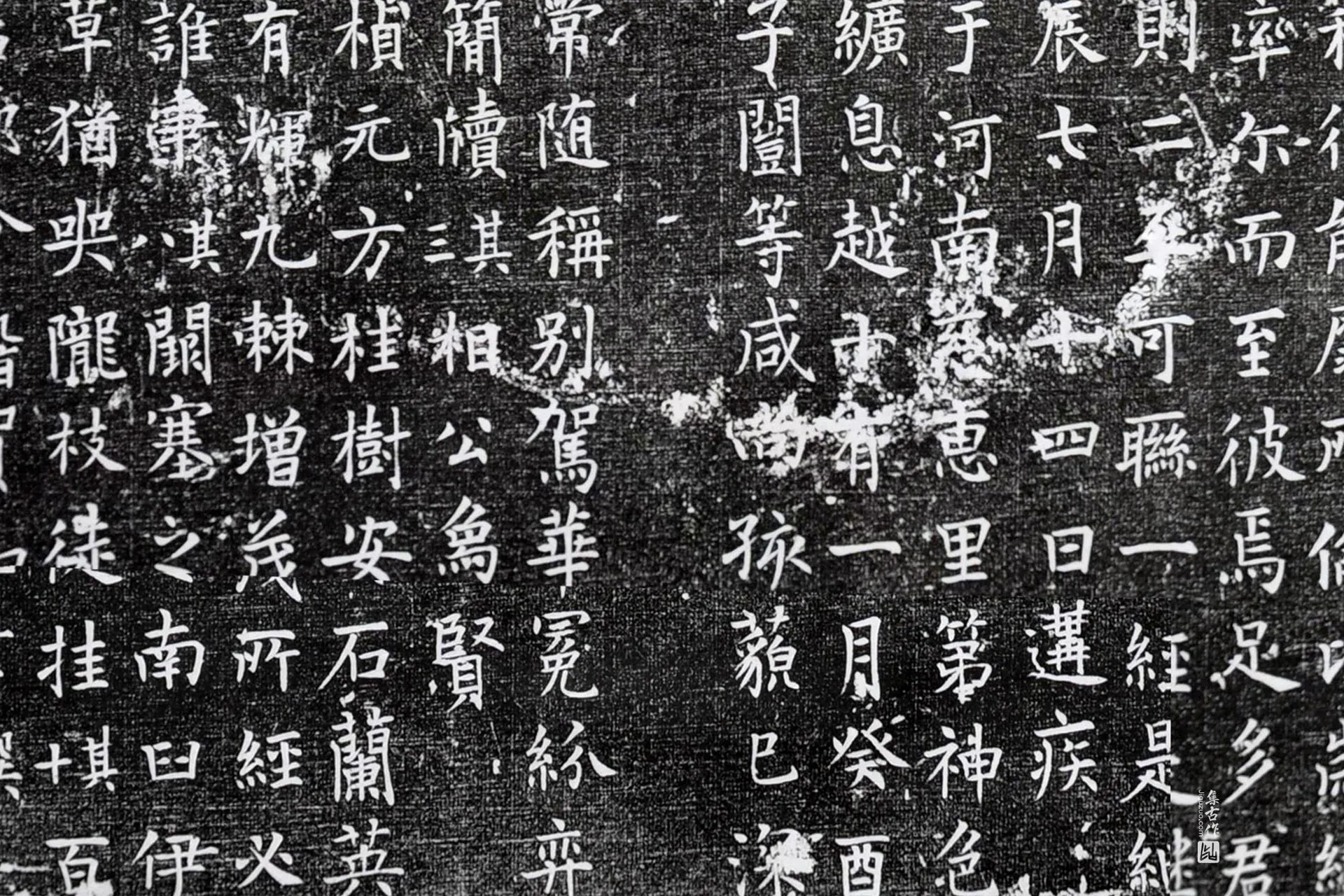 贺知章撰《姚彝墓志铭》墨拓高清大图局部 (5)
