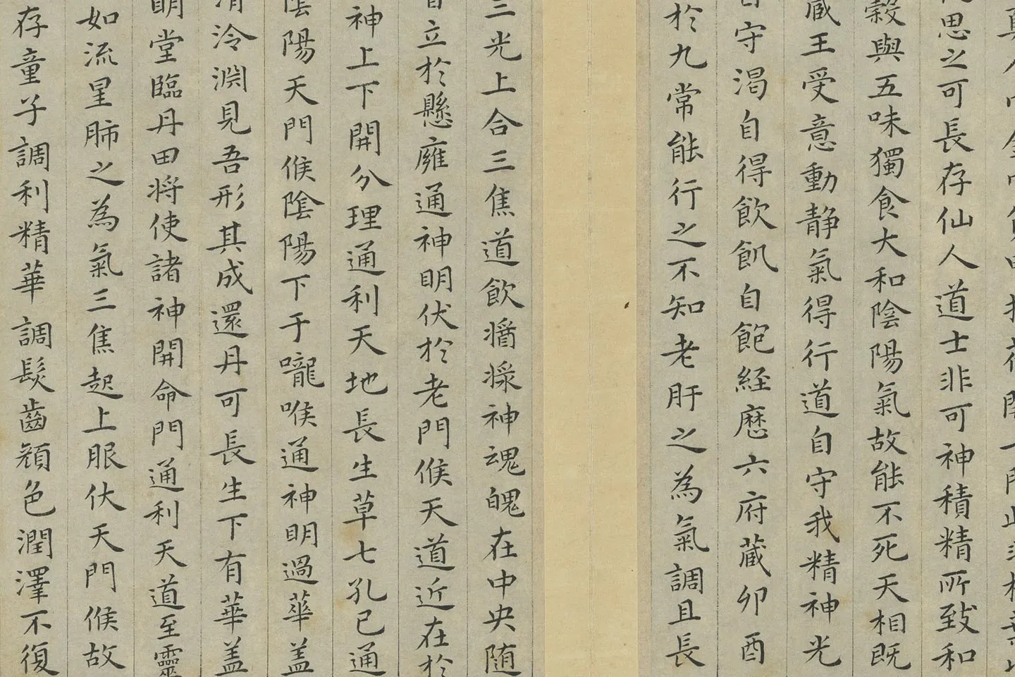 祝允明小楷书《临黄庭经》局部 (3)