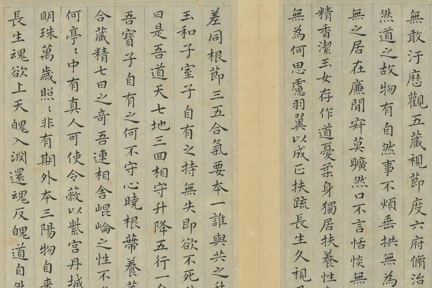 祝允明小楷书《临黄庭经》局部 (2)