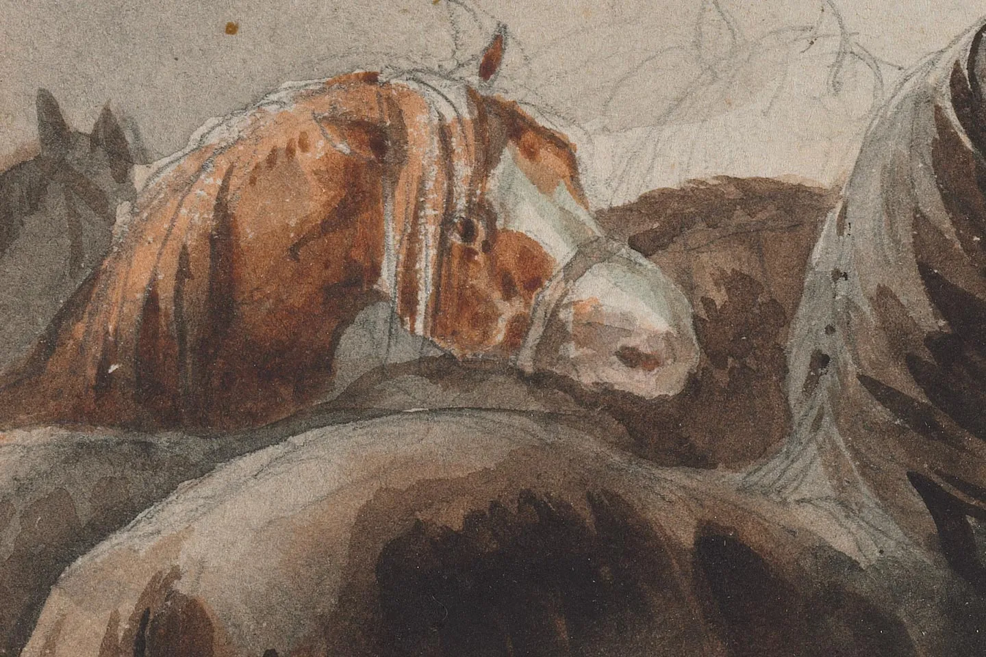 西奥多·热里科水彩画《战马》高清局部 (5)