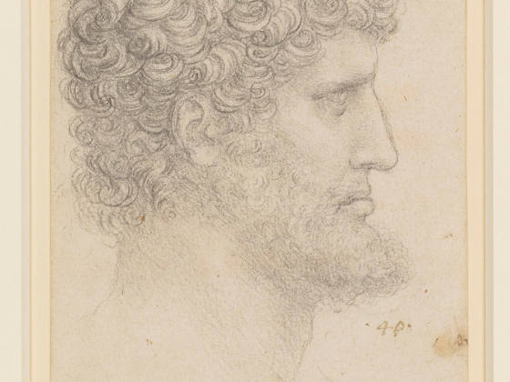 达·芬奇素描《有胡子的卷发男子头像》