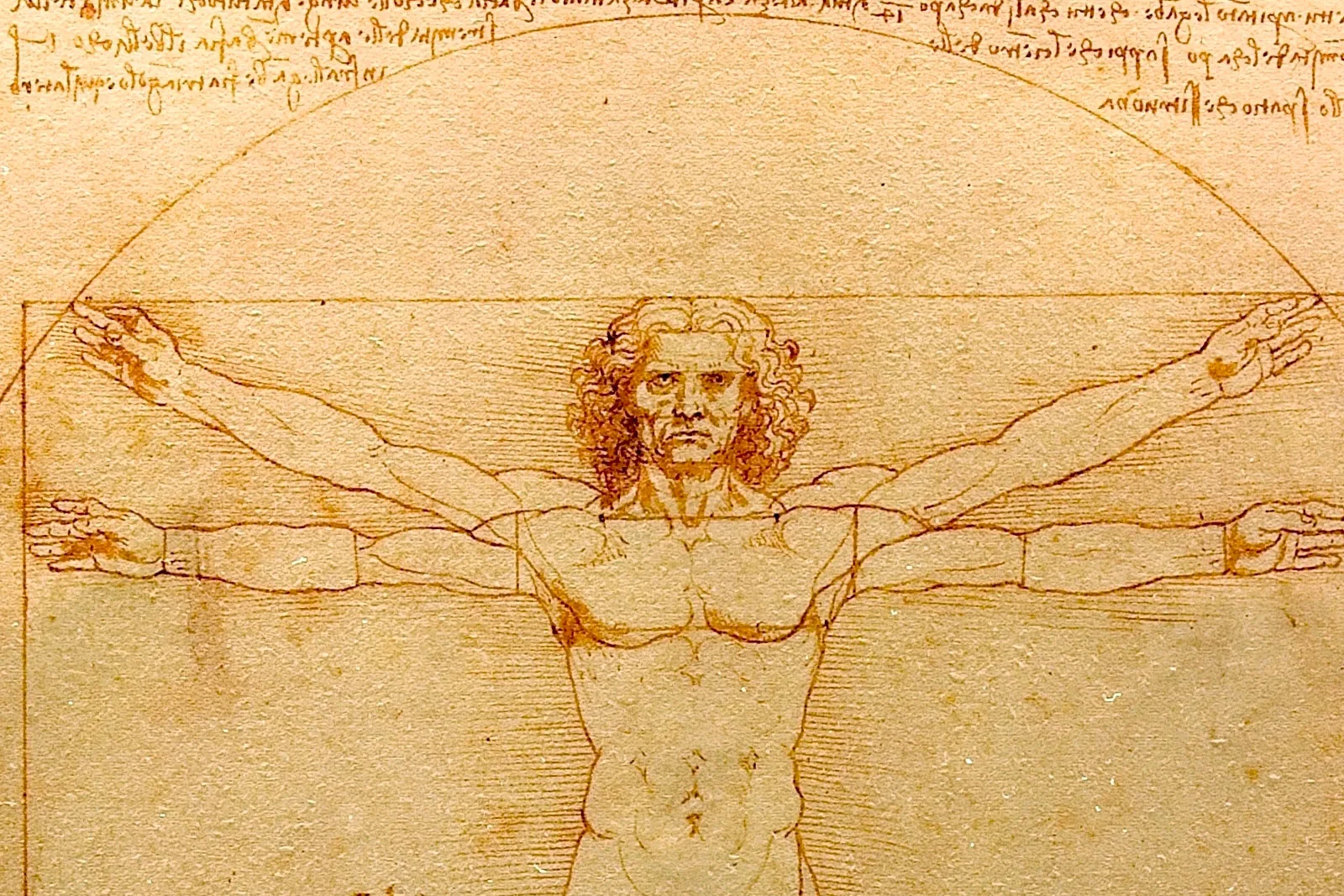 达·芬奇手稿《维特鲁威人》局部-1