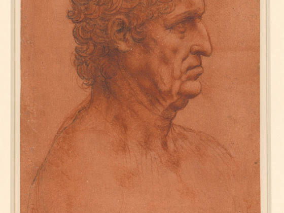 达·芬奇素描作品《男子侧面半身像》