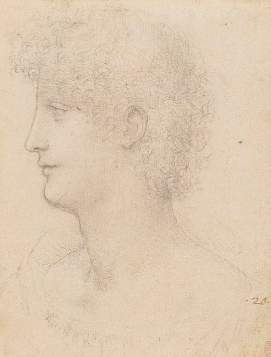 达·芬奇素描人物作品《一个卷发的年轻人头像》