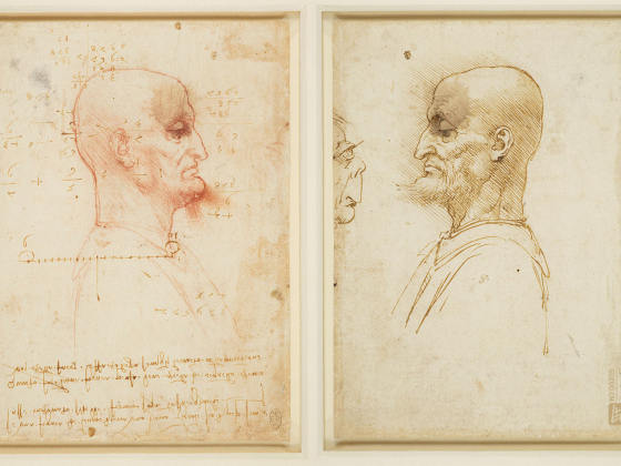 达·芬奇素描《没有头发的男人的侧面肖像》