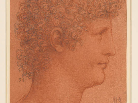 达芬奇素描人物作品《卷发青年男子头像》