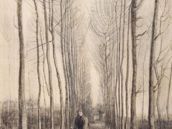 梵高素描风景作品《杨树大道》