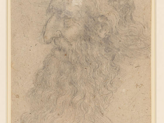 达·芬奇素描画作《留着胡子的男老年的头的侧面头像》