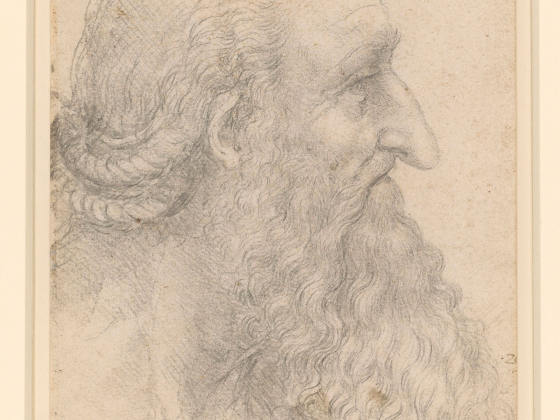 达·芬奇素描作品《有胡子的老人头像》