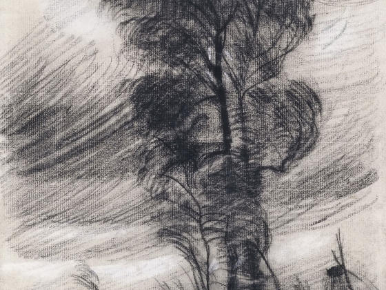 梵高素描风景《狂风中的大树》