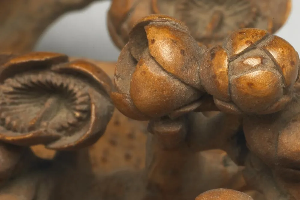 清早期“竹雕梅花水盛”雕刻局部 (5)