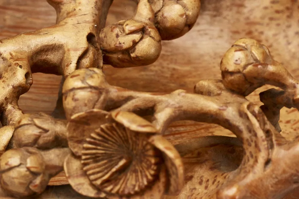 清早期“竹雕梅花水盛”雕刻局部 (3)