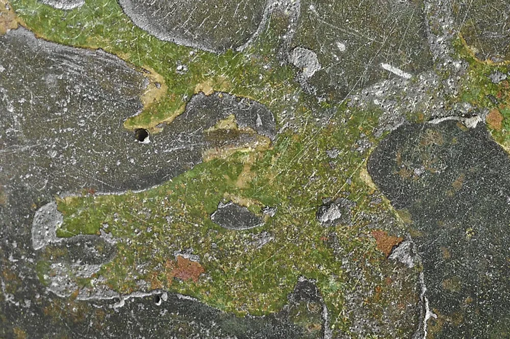 战国“嵌红铜鸟兽纹壶”铜器局部 (2)