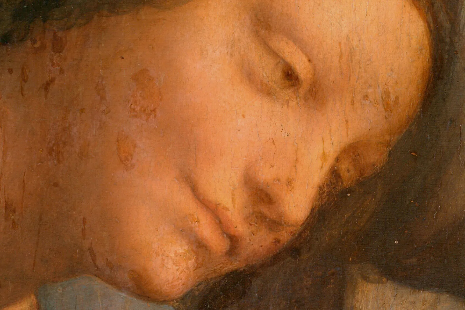 达·芬奇《圣母子与圣安妮》超高清大图局部 (2)