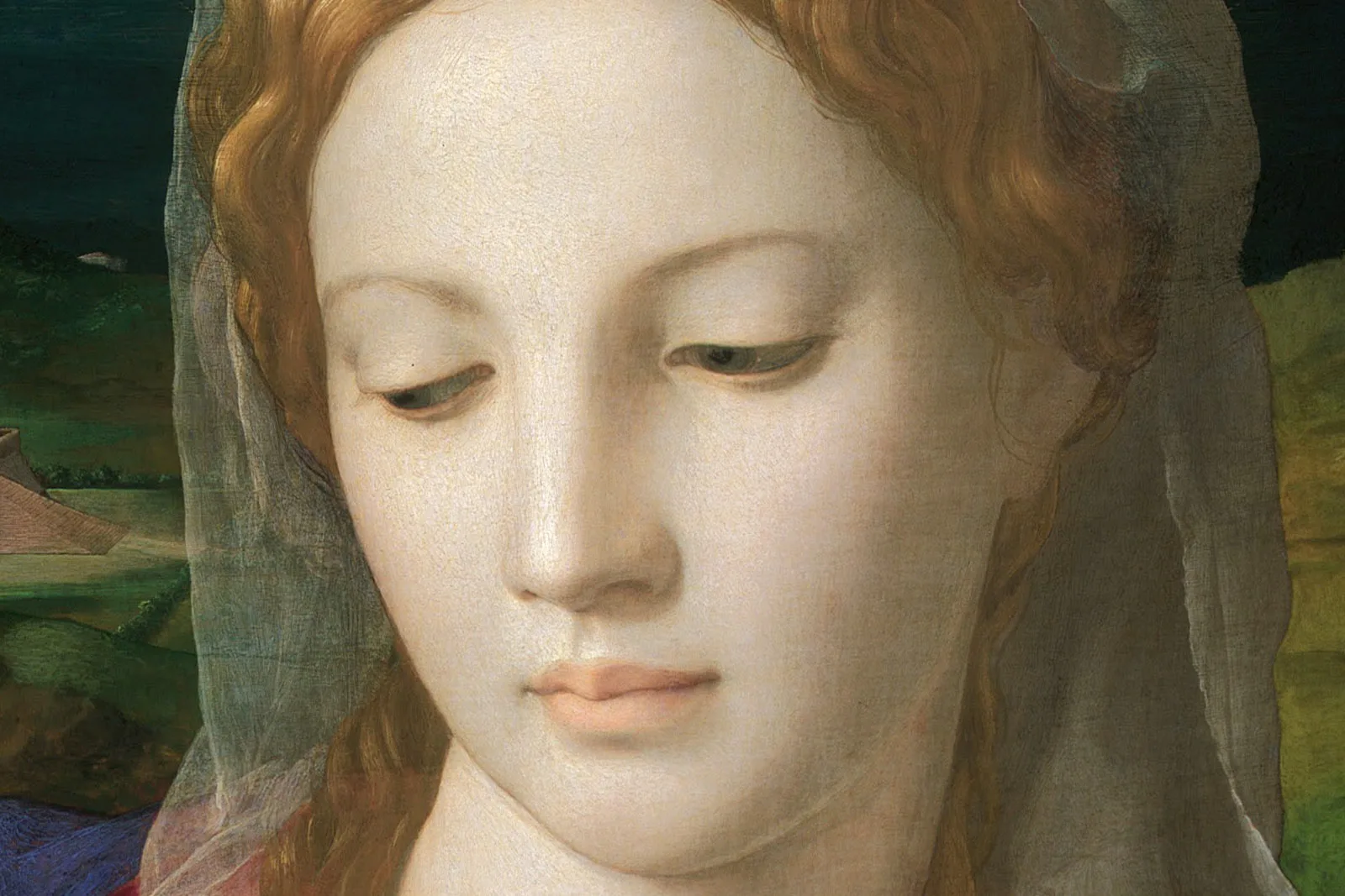 布龙齐诺《圣安娜与幼年施洗约翰相伴的圣家族》局部 (1)