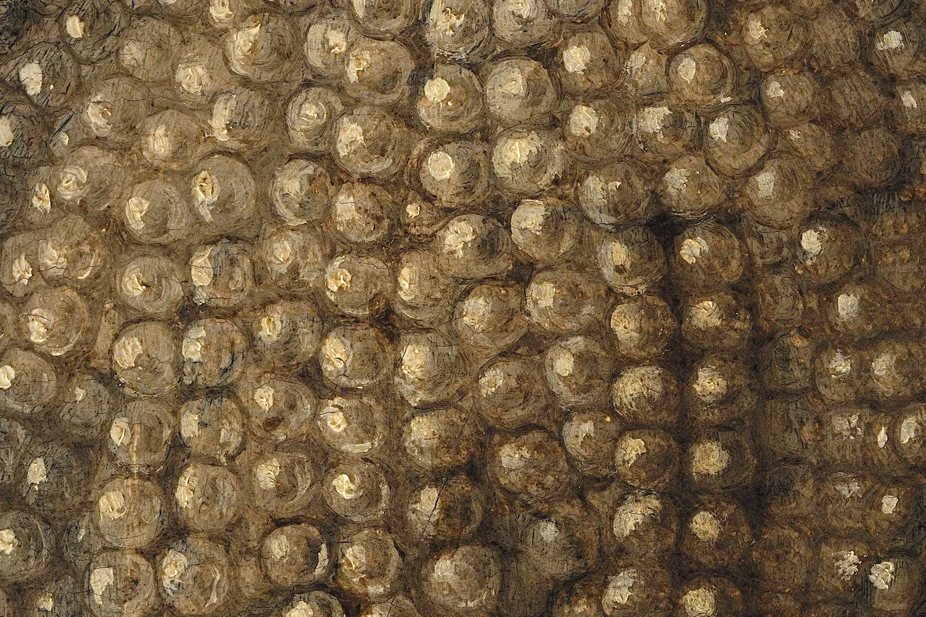 布龙齐诺《托莱多的埃利诺拉肖像》超高清大图局部细节 (23)