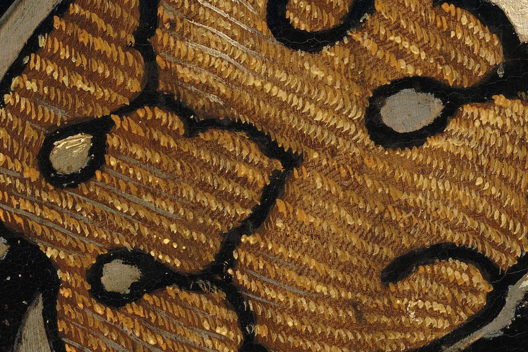 布龙齐诺《托莱多的埃利诺拉肖像》超高清大图局部细节 (25)