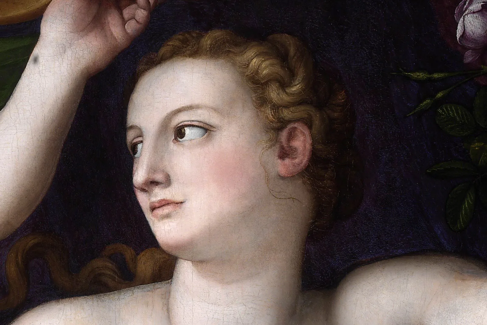 阿尼奥洛·布龙齐诺矫饰主义油画作品《维纳斯、丘比特与嫉妒》局部 (1)