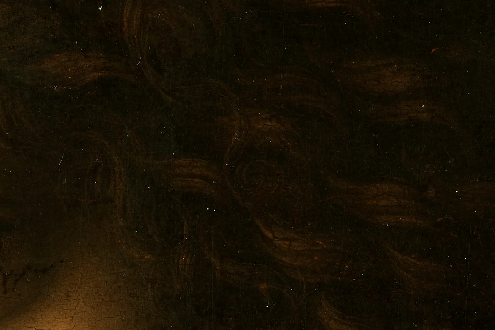 达·芬奇《施洗者圣约翰》超高清大图局部 (4)