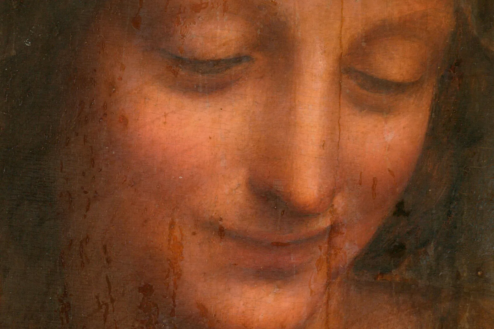 达·芬奇《圣母子与圣安妮》超高清大图局部 (1)