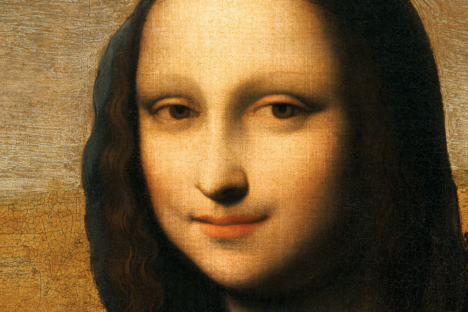 传达·芬奇《艾尔沃斯蒙娜丽莎》局部 (1)