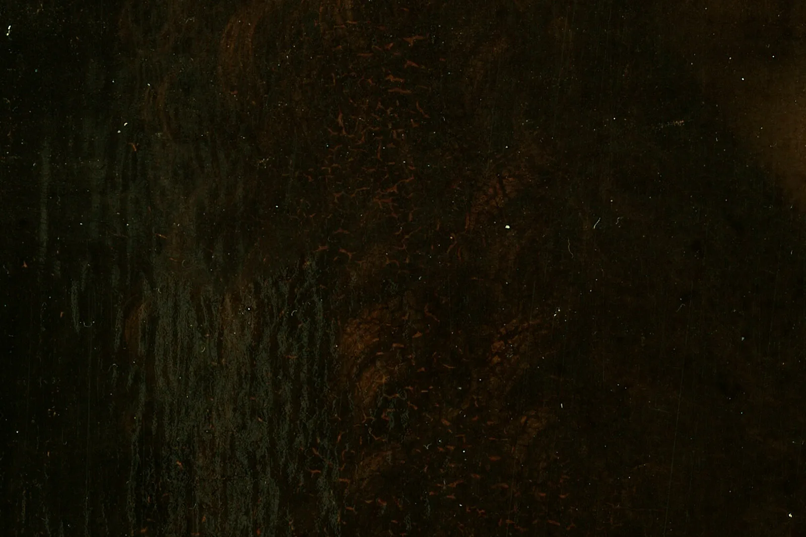 达·芬奇《施洗者圣约翰》超高清大图局部 (5)