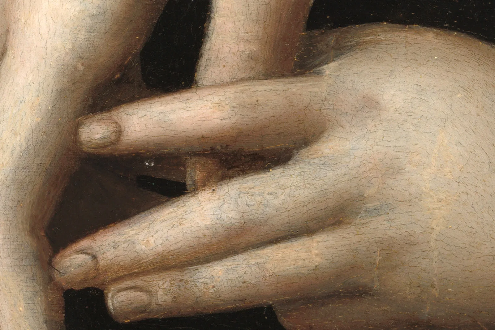 布龙齐诺油画肖像作品《一位年轻女子和她的小男孩》超高清大图局部 (15)