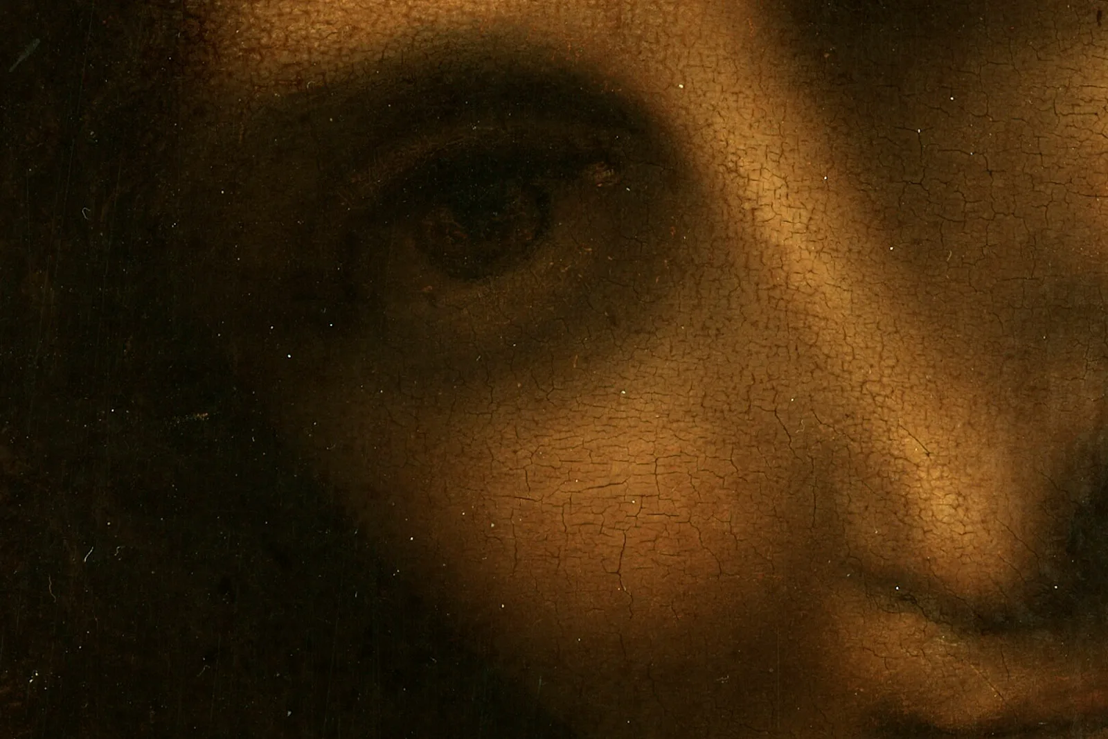 达·芬奇《施洗者圣约翰》超高清大图局部 (1)