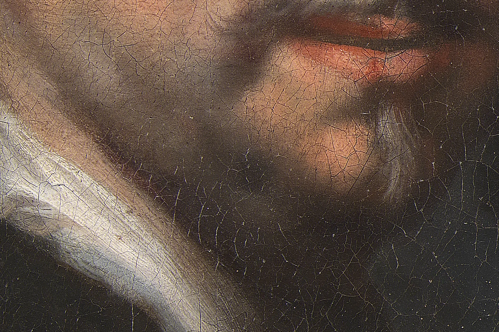 卡雷尔·范·曼德油画人物《艺术家和他的家人》超高清大图局部 (3)