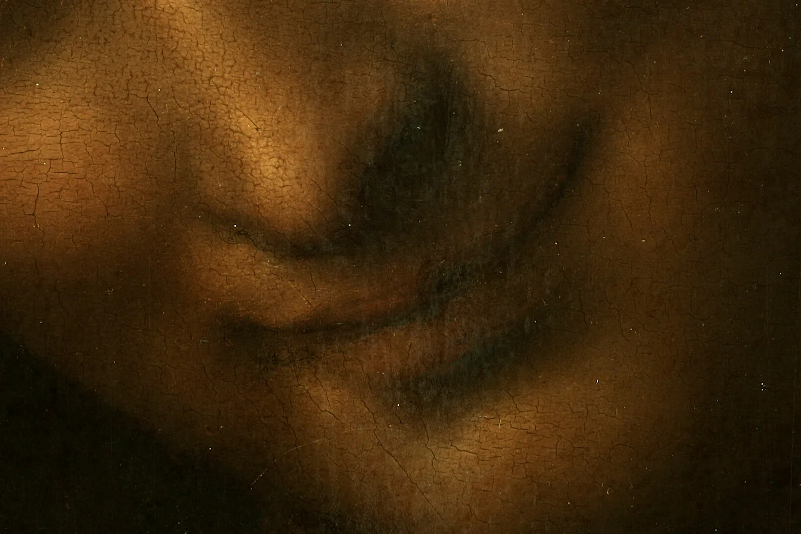 达·芬奇《施洗者圣约翰》超高清大图局部 (3)