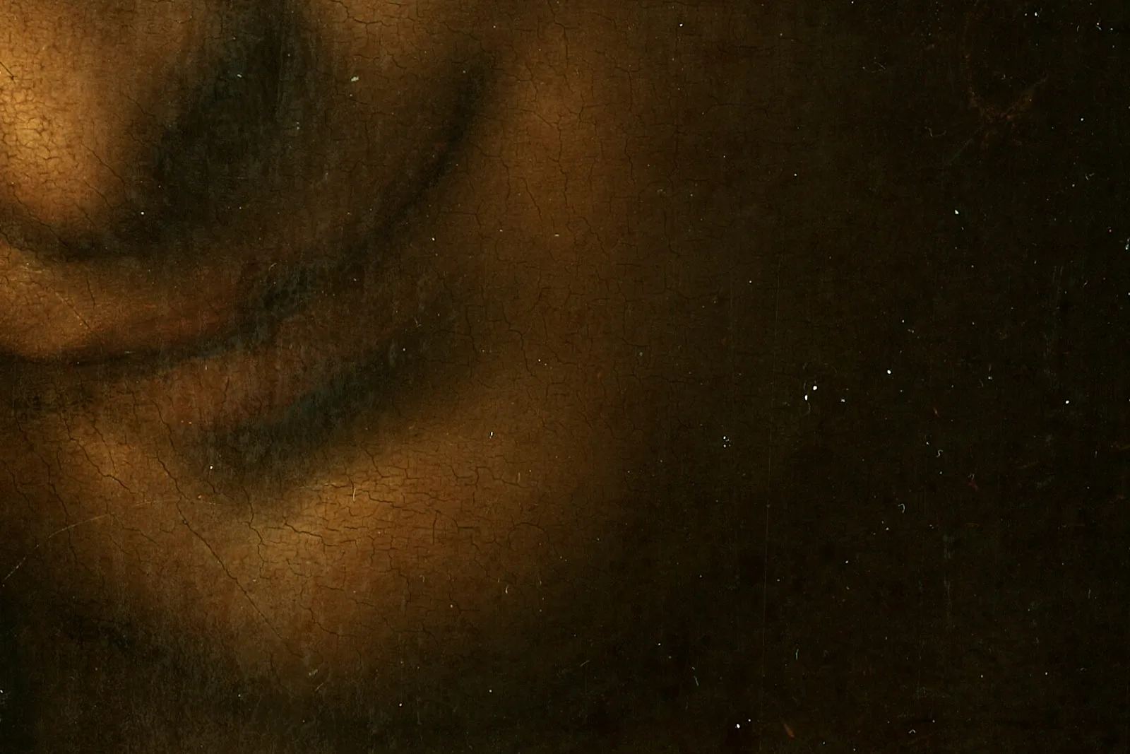 达·芬奇《施洗者圣约翰》超高清大图局部 (7)