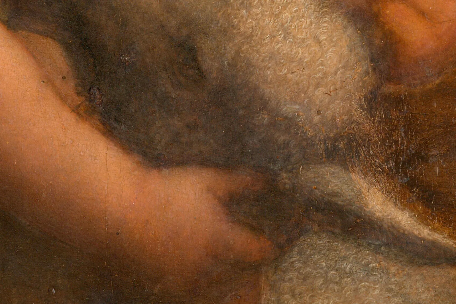 达·芬奇《圣母子与圣安妮》超高清大图局部 (4)